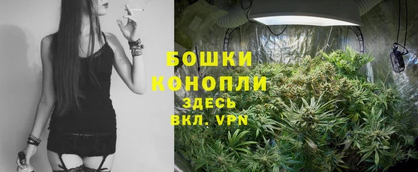 spice Алексин