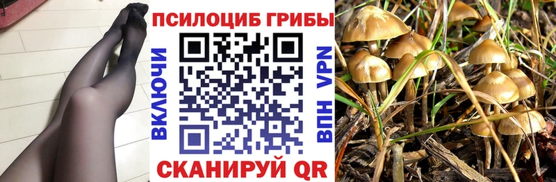 Псилоцибиновые грибы прущие грибы  KRAKEN ССЫЛКА  Сенгилей 
